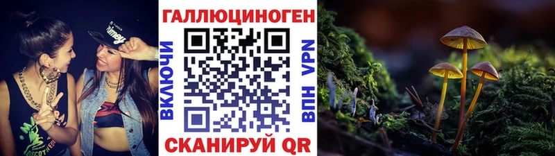 Галлюциногенные грибы Psilocybine cubensis  Петухово 
